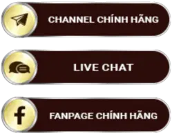 hitclub-live-chat